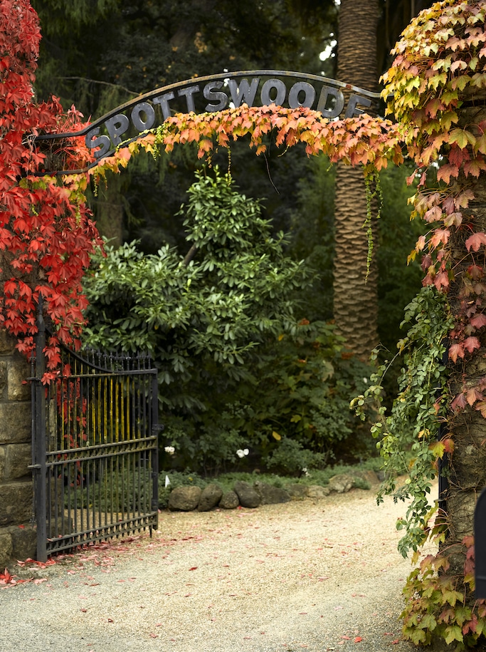 Spott Estate Spottswoode Estate Entrance – fall colors – Brand PR Digital
