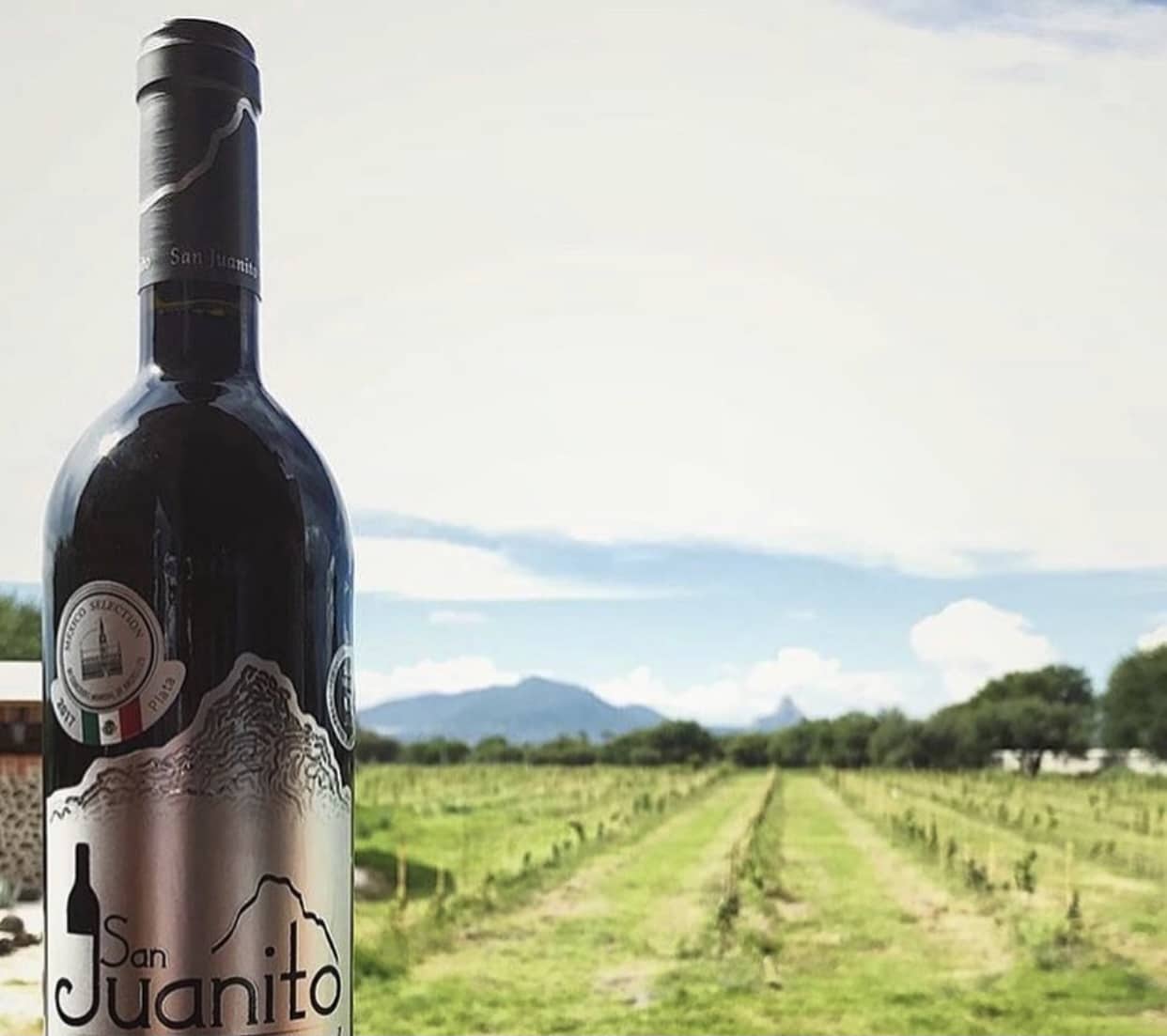 SAN JUANITO: FINCA MULTIPREMIADA A NIVEL INTERNACIONAL
