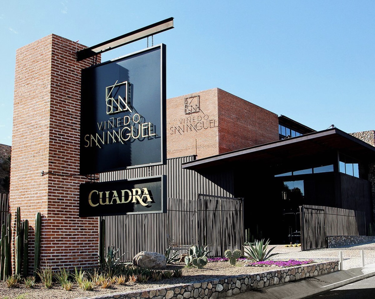 Viñedo San Miguel, el viñedo más grande de Guanajuato