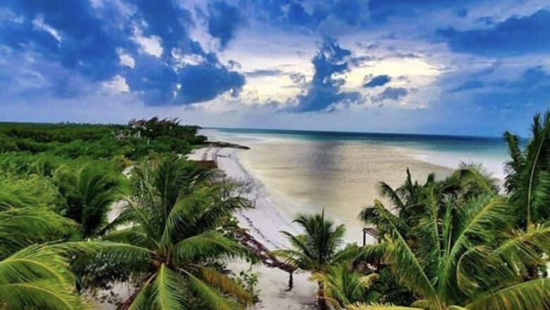 Holbox y Yum Balam celebran el día mundial de las playas