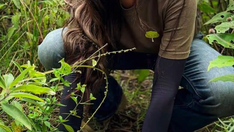 MATERIALES SAN CAYETANO Y COACALCO SUMAN ESFUERZOS PARA RESTAURAR LA SIERRA DE GUADALUPE